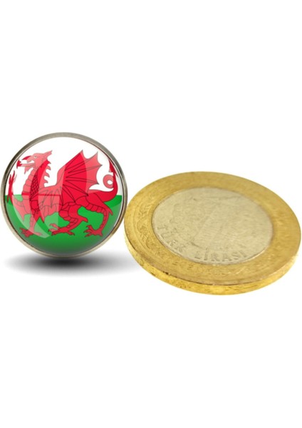 Galler Wales Yaka Rozeti Britanya Adaları Ejder Resimli Camlı Çelik Rozet fiyatları