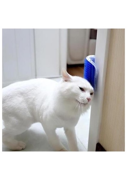 Petinka® Pratik Kedi Tüyü Kaşıma ve Tarama Aparatı Duvara Monte Kaşıma Aleti