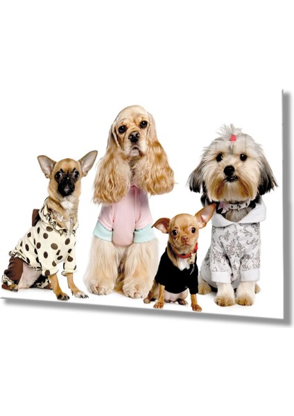 Köpek Cam TABLOMIYREM36X23-MIYREM fiyatları