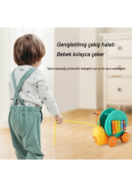 Yürümeye Başlayan Çocuk Oyuncak Arabayı Çekiyor (Yurt Dışından) fiyatları
