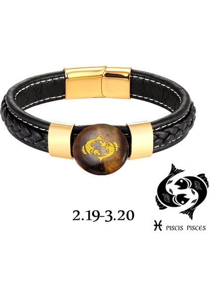 Sarı Stil Altın-Balık 2021 Yeni 12 Takımyıldızı Doğal Kaplan Gözü Yaldızlı Vintage Takı Erkek Bilezik Charm Deri Halat 316L Paslanmaz Çelik Bileklik (Yurt Dışından) fiyatları