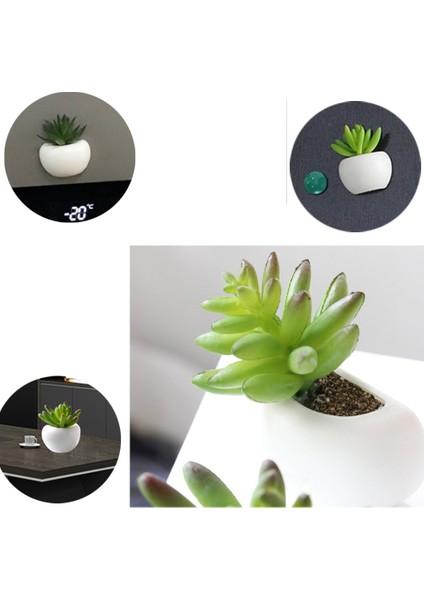 G Tarzı Buzdolabı Mıknatısı Saksı Yapay Yeşil Etli Bitki Bonsai Seti Sahte Çiçek Vazo Süsleri Tahta Manyetik Duvar Dekorasyonu (Yurt Dışından) fırsatları