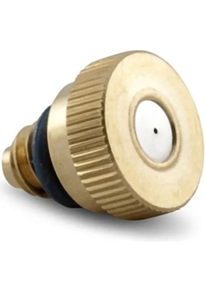 0.1 mm Ss Stili Su Püskürtme Nozulu Sprinkler Buğulanma Soğutma (Yurt Dışından)