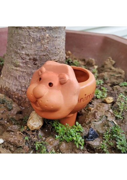 Kahverengi Aslan Tarzı Otomatik Bitki Pişmiş Toprak Sulama Başak Damlalık Aracı Karikatür Ayarlanabilir 12*8.5*5 cm Kil Kapalı ve Açık Bitkiler Için (Yurt Dışından) modelleri