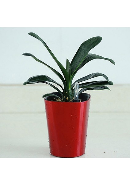NO.120 Stili Su Seviyesi Göstergesi Göstergesi Şamandıra Tüm Ev Bitkileri Için Su Kıtlığı Hatırlatma Çiçekler Otlar Succulents Nem Sensörü (Yurt Dışından)