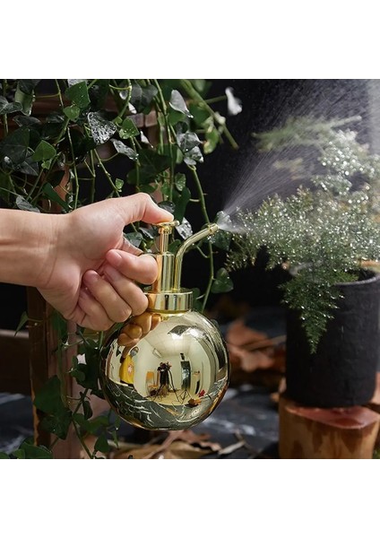 Altın 300ML Tarzı ml Mini Bitki Misting Nozul Sulama Tenekesi Su Püskürtme Yeşil Ev El Basınçlı Püskürtücü Su Şişesi Püskürtme Şişesi (Yurt Dışından)
