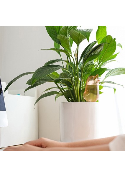 Mavi Stil 1 Adet Bahçe Otomatik Sulama Aracı Sevimli Kuşlar Kapalı Damla Sulama Sulama Sistemi Kiti Saksı Bitki Suları Bitki Için Spike (Yurt Dışından) fiyatları