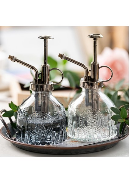 C1-1pcs Tarzı Cam Kabartmalı Hava Basıncı Bahçe Küçük Sulama Kovası Dezenfeksiyon Sulama Şişesi Ev Cam Sprey Şişesi (Yurt Dışından)