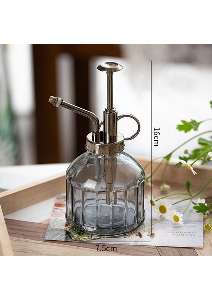 C1-1pcs Tarzı Cam Kabartmalı Hava Basıncı Bahçe Küçük Sulama Kovası Dezenfeksiyon Sulama Şişesi Ev Cam Sprey Şişesi (Yurt Dışından) fiyatları