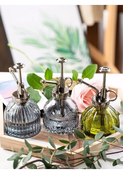 C1-1pcs Tarzı Cam Kabartmalı Hava Basıncı Bahçe Küçük Sulama Kovası Dezenfeksiyon Sulama Şişesi Ev Cam Sprey Şişesi (Yurt Dışından) modelleri