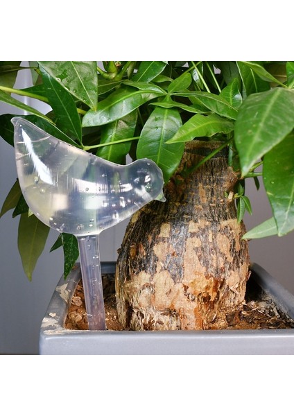 Kuş Tarzı Otomatik Damla Sulama Sistemi Otomatik Sulama Tesisleri Çiçek Kapalı Bahçe Ev Suluk Şişe Sera Ev Bahçesi (Yurt Dışından) fiyatları