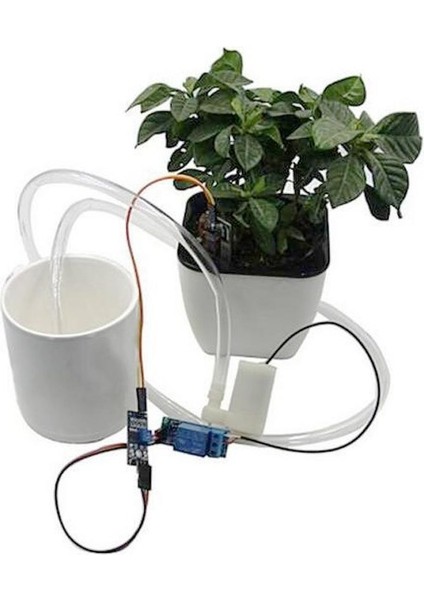 Beyaz Stil Dıy Otomatik Sulama Sulama Sistemi Toprak Nem Sensörü Pompa Modülü Kiti (Yurt Dışından) fırsatları