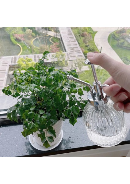 C Stili 1 Adet Bitki Çiçek Cam Bahçe Sulama Potu Mister 300ML Su Kutuları Püskürtücü Şişe Sprey Sulama Malzemeleri Kuaförlük Aracı. (Yurt Dışından) fırsatları