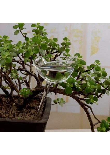 Sarı Stil Otomatik Damla Sulama Sistemi Otomatik Sulama Tesisleri Çiçek Kapalı Bahçe Ev Suluk Şişe Sera Ev (Yurt Dışından) modelleri