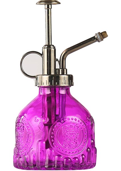 Mor Tarzı 200ML Cam Sprey Şişesi Kaymaz Büyük Kapasiteli Çiçek Su Püskürtme Şişesi Cam Sulama Kovası Kapalı Saksı Teraryumları Için (Yurt Dışından)