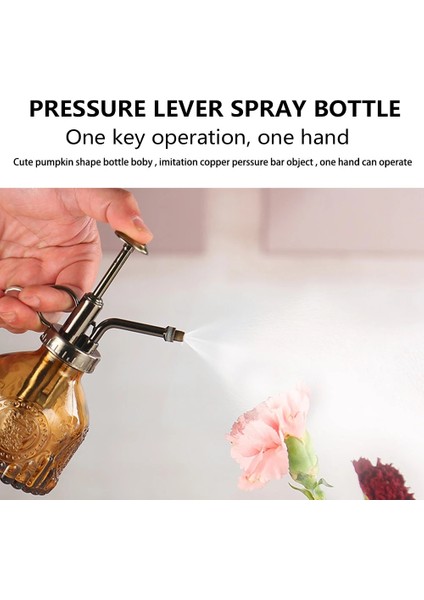 Mor Tarzı 200ML Cam Sprey Şişesi Kaymaz Büyük Kapasiteli Çiçek Su Püskürtme Şişesi Cam Sulama Kovası Kapalı Saksı Teraryumları Için (Yurt Dışından) fırsatları