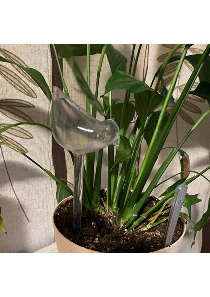 Açık Gri Tarzı Otomatik Damla Sulama Sistemi Otomatik Sulama Tesisleri Çiçek Kapalı Bahçe Ev Suluk Şişe Sera Ev (Yurt Dışından) fırsatları