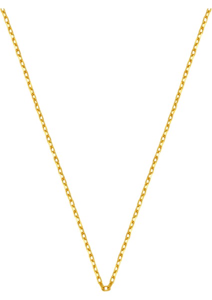 Hayalet 14 Ayar Altın Boyun Zinciri fırsatları