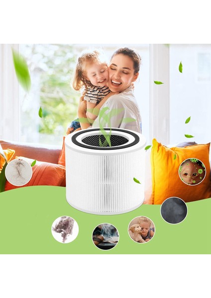 Core 300 300S Vortexair 3'ü Bir Arada Aktif Karbon Core 300 Filtresi Için 2 Paket Yedek Filtre, Çekirdek 300-RF Parçası (Yurt Dışından) fiyatları