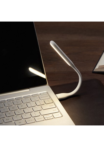 Evrensel USB Işık ile Çok Fonksiyonlu USB Mini Masaüstü Mini Fan Enerji Tasarruflu Taşınabilir LED Işık, Mavi (Yurt Dışından)