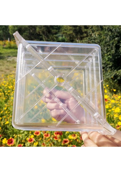 Büyük Boy Plastik Şeffaf Kalp Kare Karpuz Büyüyen Kalıp Şeffaf Meyve Büyüme Şekillendirme Şekillendirme Kalıp (Yurt Dışından) indirimleri