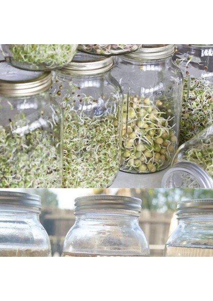 Mükemmel Havalandırma Için 9x Paslanmaz Çelik Filizlenen Kavanoz Kapağı Kiti Geniş Ağızlı Mason Kavanoz Konserve Kavanozları Için Uygun (Yurt Dışından)