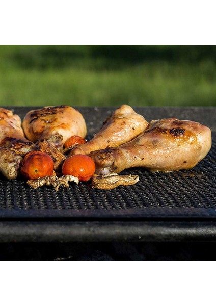 2x Barbekü Izgara Izgara Mat Yapışmaz Örgü Paspaslar Barbekü Yeniden Kullanılabilir Pişirme Net (Yurt Dışından)