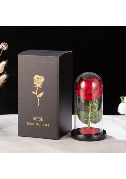 Ev B Için Dekor Düğün Yeni Yıl Hediyeleri Için Cam Sevgililer Günü'nde LED Ebedi Gül (Yurt Dışından) fiyatları