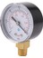 Silhouette 0-1bar 50MM Su Basıncı Ölçer Ölçer 1/4 Inç Npt Konu Manometre -50-15PSI (Yurt Dışından) 4