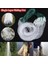 15M Tarzı Tek Katmanlı Balık Ağı Balık Örgü Tuzak Monofilament Solungaç Ağları Açık Taşınabilir Katlanır Yakalama Balık Aracı Balıkçılık Aksesuarları (Yurt Dışından) 2