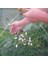 Katlanmış Balık Ağı Küçük Frimp Minnow Yengeç Yemler Dip Döküm Yakalama Balık Yengeç Ağı Mesh Net 60CM Kaldırma Yakalama Kaldırma Tr U6K4 (Yurt Dışından) 3