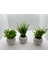 Mini Beton Saksı 3'lü Set Gerçek Yosunlu Yapay Çiçek Aranjman Hediyelik Paket Saksı 3