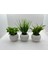 Mini Beton Saksı 3'lü Set Gerçek Yosunlu Yapay Çiçek Aranjman Hediyelik Paket Saksı 1