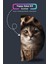 Pi Papers British Kedi Poster, Yapışkansız Premium Baskı Statik Poster, British Shorthair, Yapay Zeka Tasarım 4