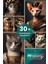 Sfenks Kedisi Posteri, Sfenks Kedi Posteri, Akıllı Kağıt Premium Poster, Yapay Zeka Tasarım 2
