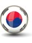 Güney Kore Yaka Rozeti South Korea Bayrak Rozet Yuvarlak Paslanmaz Çelik 1