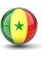 Senegal Rozet Afrika Senegalese Ülke Bayrağı Paslanmaz Çelik 3D Camlı Rozet 1