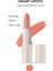 Creamy Lipstick 10 İconic Nude 4 gr 1