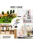 Law Anime Model, 26.5cm Anime Action Figure, Anime Doll Pvc Figures Collectible Model Anime Figure Model Table Desk Decoration For Kids Gift (Yurt Dışından) 4