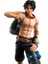 Şekil Tek Parça DX10TH Yıldönümü Yangın Yumruk Escal D Ace Luffy Kardeş Oyuncaklar Japonya Anime Koleksiyon Figürler Pvc Model Oyuncak (Yurt Dışından) 5