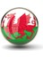 Galler Wales Yaka Rozeti Britanya Adaları Ejder Resimli Camlı Çelik Rozet 1