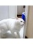 Petinka® Pratik Kedi Tüyü Kaşıma ve Tarama Aparatı Duvara Monte Kaşıma Aleti 1