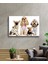 Köpek Cam TABLOMIYREM36X23-MIYREM 1