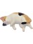 No.5 Tarzı Tembel Kedi Buzdolabı Mıknatısı Mesaj Fotoğraf Duvar Buzdolabı Mıknatısları Sticker Yaratıcı Sevimli Uyku Kedi Ev Dekorasyon Aksesuarları (Yurt Dışından) 1