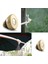 0.1 mm Ss Stili Su Püskürtme Nozulu Sprinkler Buğulanma Soğutma (Yurt Dışından) 3