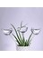 1 Adet Houseplant Otomatik Kendinden Sulama Cam Kuş Sulama Tenekeleri Çiçekler Bitki Dekoratif Şeffaf Pvc Sulama Cihazı (Yurt Dışından) 3