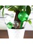 60ML Stili Housegarden Su Houseplant Bitki Pot Ampul Otomatik Kendinden Sulama Cihazı Bahçe Aletleri ve Ekipmanları Bitki Sulama (Yurt Dışından) 3