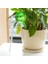 Küçük Şeffaf Stil Otomatik Sulama Cihazı Houseplant Bitki Pot Ampul Küre Bahçe Ev Waterer Bahçe Sulama Sistemi Damla Sulama Sıcak Satış (Yurt Dışından) 1
