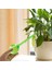 Küçük Şeffaf Stil Otomatik Sulama Cihazı Houseplant Bitki Pot Ampul Küre Bahçe Ev Waterer Bahçe Sulama Sistemi Damla Sulama Sıcak Satış (Yurt Dışından) 3