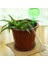Küçük Şeffaf Stil Otomatik Sulama Cihazı Houseplant Bitki Pot Ampul Küre Bahçe Ev Waterer Bahçe Sulama Sistemi Damla Sulama Sıcak Satış (Yurt Dışından) 5